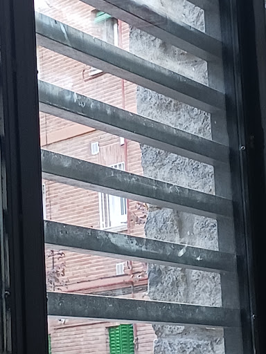 Servicios de salud mental