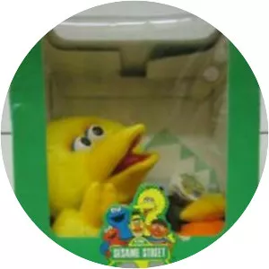 Sesame Street: 25 Wonderful Years