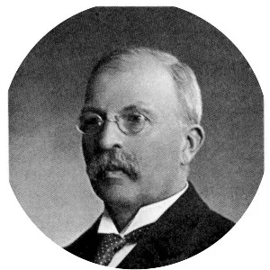 Seth Kempe - Swedish businessperson