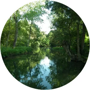 Seugne - River in France