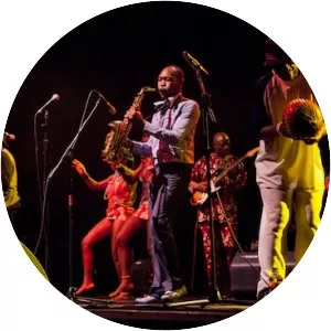 Seun Kuti & Fela's Egypt 80