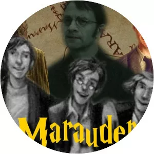 Severus Snape and the Marauders