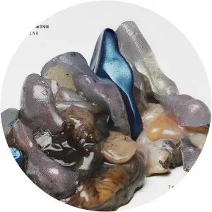 Sex Swing - Musical group