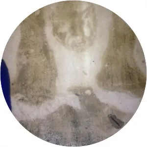 Seydina Mouhammadou Limamou Laye