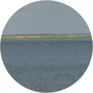 Seyfe Lake - Lake in Turkey