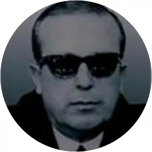 Seyfi Öztürk - Politician