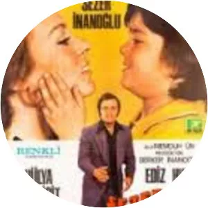 Sezercik Aslan Parçası