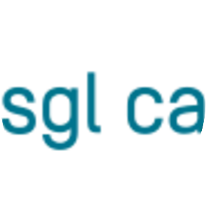 SGL Carbon - Carbon and graphite product manufacturing company