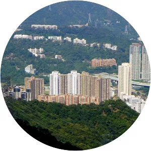 Sha Tin Heights