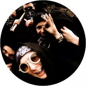 Shades of Reykjavik - Musical artist