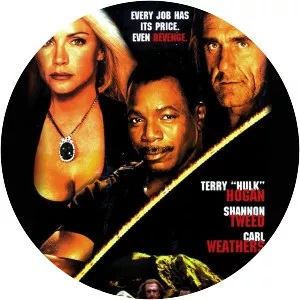 Shadow Warriors II: Hunt for the Death . . .