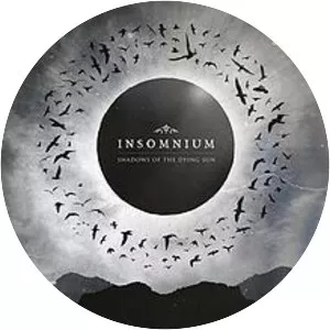 Shadows of the Dying Sun