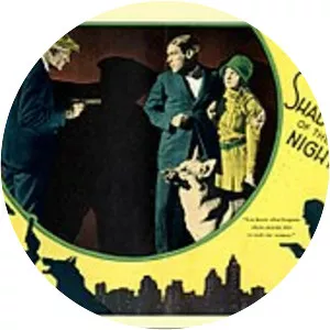 Shadows of the Night photograph