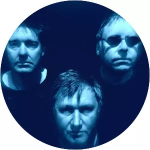 SHADY BRAIN FARM - Musical artist