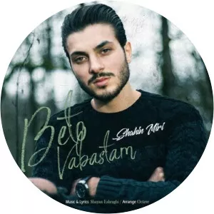 Shahin Miri - Musical artist