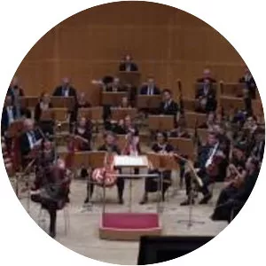 Shahin Vahmanzadegan