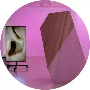 Shahryar Nashat - Artist