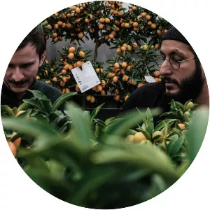 Shakarchi & Straneus - Musical group