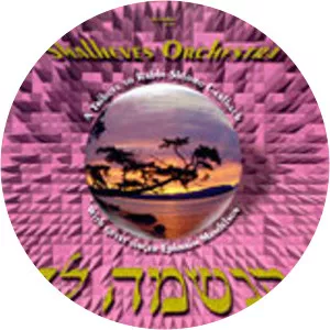 hillel paley shalhevet - Orchestra