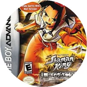 Shaman King: Legacy of the Spirits, Soaring Hawk
