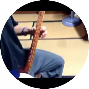 Shamisen - Musical instrument