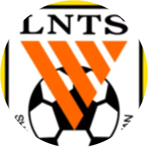 Shandong Luneng Taishan F. C. - Football club
