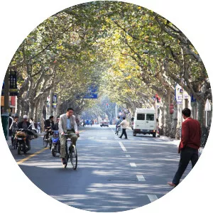 Shanghai French Concession - 