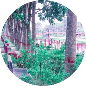 Shankar Govinda Chowdhury Stadium - 