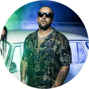 Shaolin Gang - Musical artist