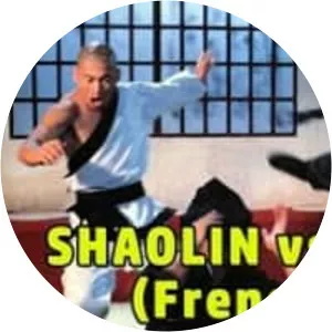 Shaolin vs. Manchu