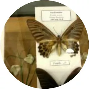 Sharjah Natural History Museum