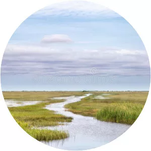 Shark River Slough - 