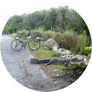 Shark Valley - County park