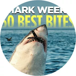 Shark Week's 50 Best BitesSince 2018