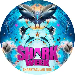 Shark Week Sharktacular 2016Since 2016