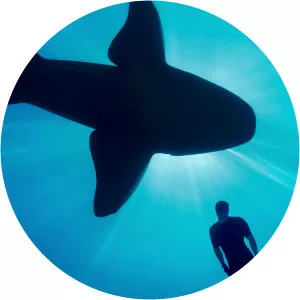 Shark With Steve BackshallSince 2021