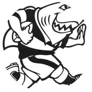 Sharks - Rugby union team