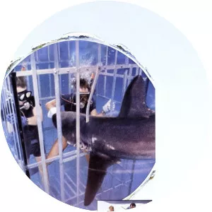 Sharks' Treasure - 1975 ‧ Adventure ‧ 1h 35m