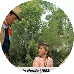 Sharon Ann Hamilton - Lee Aaker's ex-wife