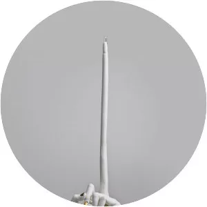 Shary Boyle - Canadian visual artist