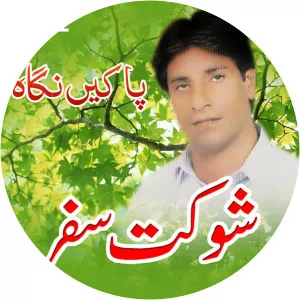 Shaukat Safar - Musical artist