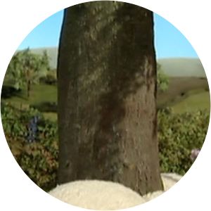 Shaun the Sheep Save the Tree