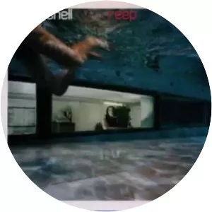 She Shell - Musical group