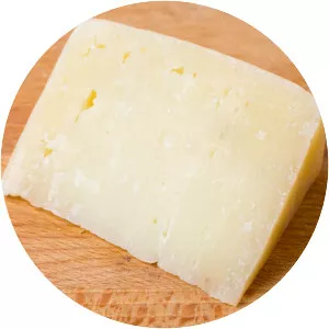 Sheep milk cheese photograph