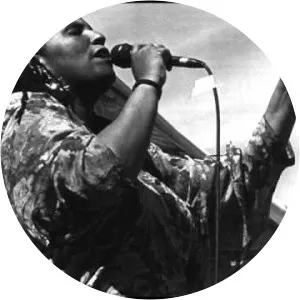 Sheila Wilcoxson - Musical artist