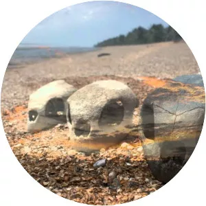 Shell Beach, Guyana - 