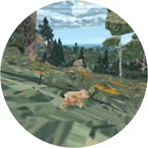 Shelter: Generations