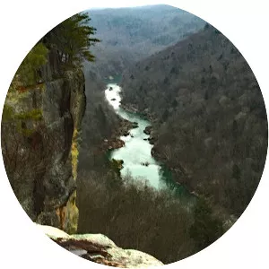 Sheltowee Trace Road