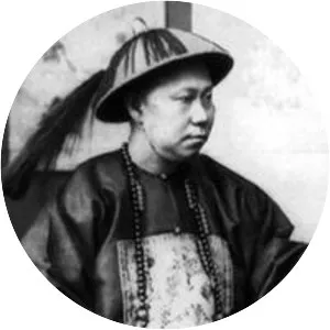 Shen Baozhen - Official