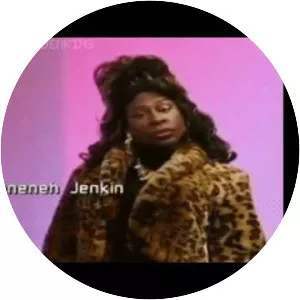 Sheneneh Jenkins - TV character